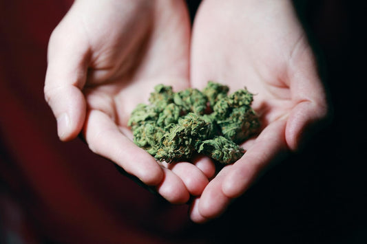 can smoking weed everyday cause erectile dysfunction