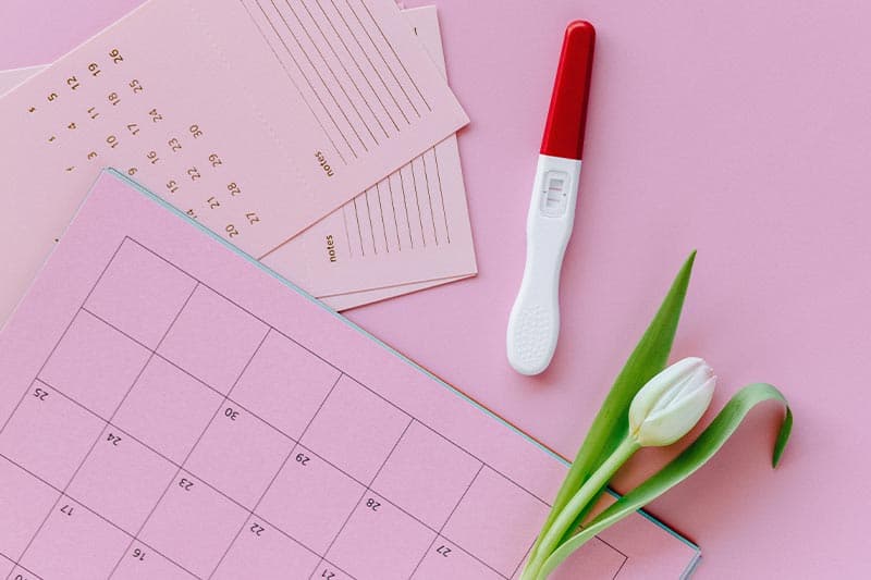 can you get pregnant after ovulation