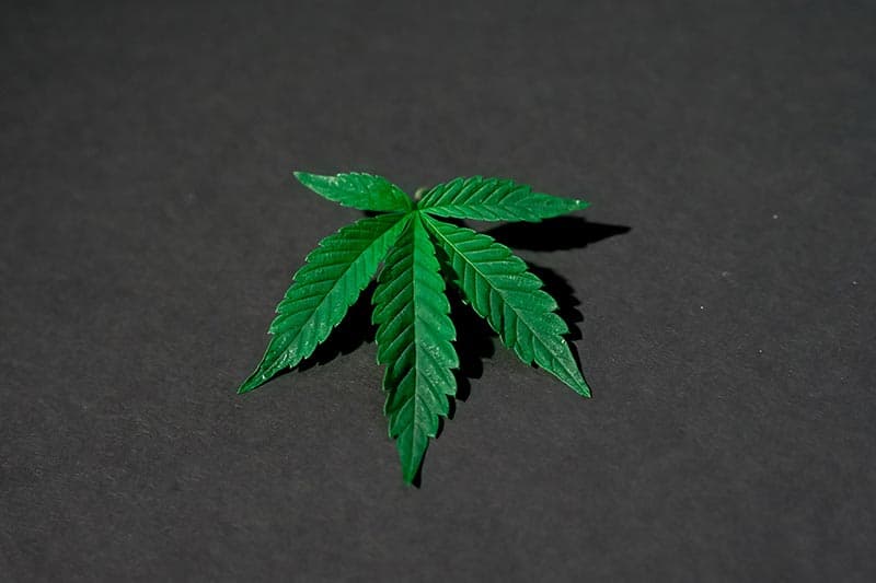 does cbd help with premature ejaculation