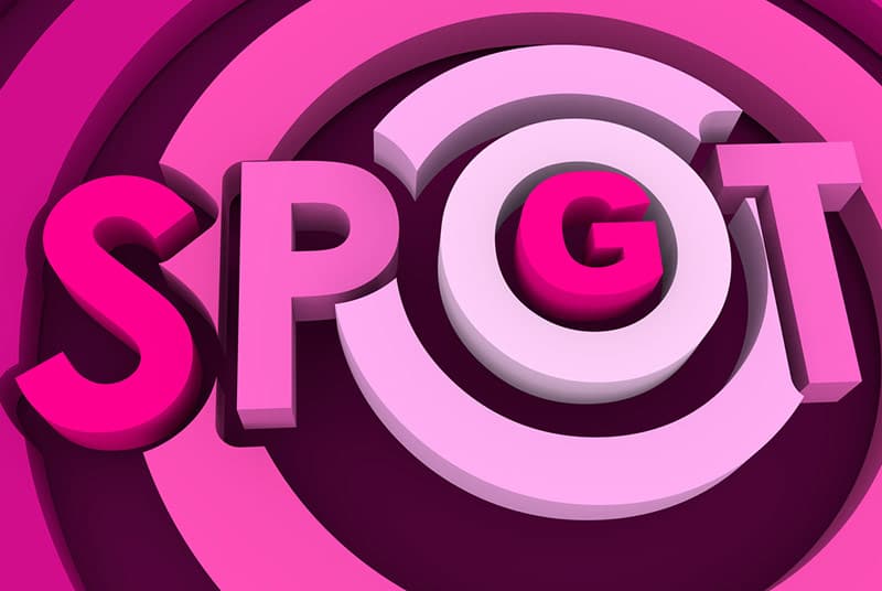 The female g-spot