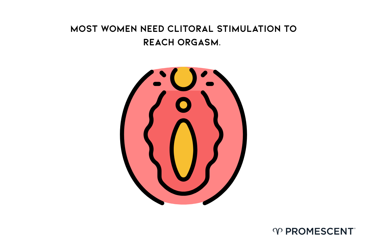 Diagram outlining the position of the clitoris.