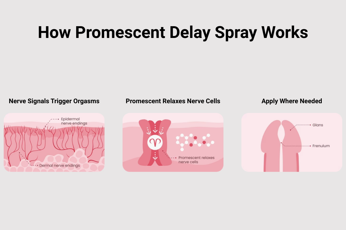 A chart illustrating how Promescent Delay Spray work.