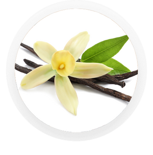 Vanilla scented Lorals latex panties