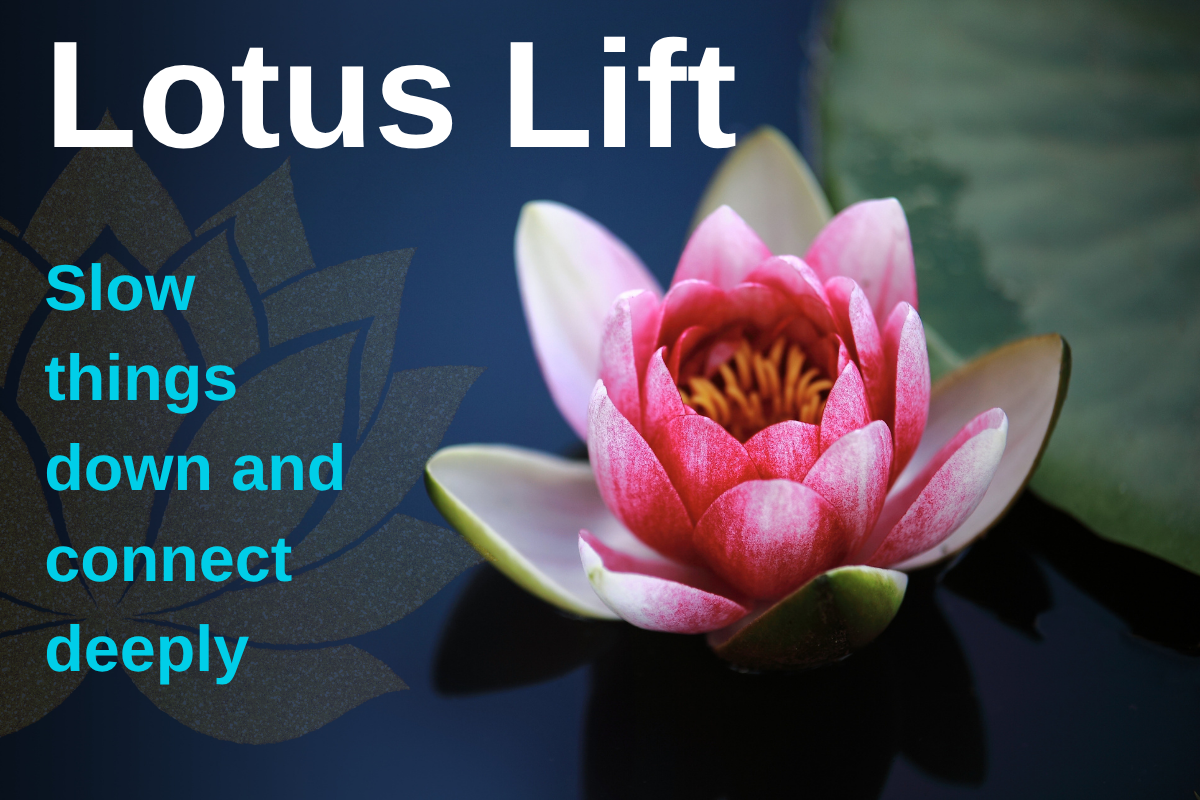 Lotus lift sex position