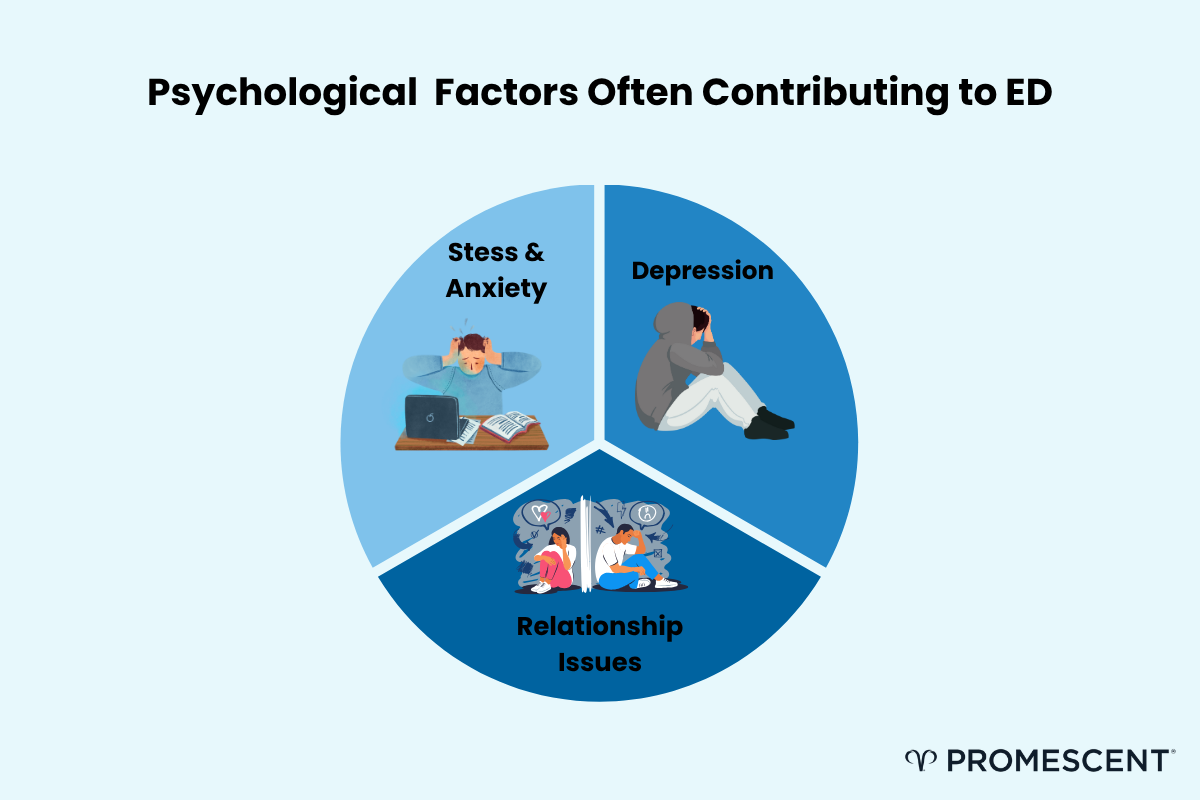 Psychological factors that contribute to erectile dysfunction (ED).